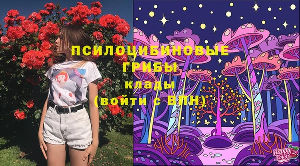 ПСИЛОЦИБИНОВЫЕ ГРИБЫ Арсеньев