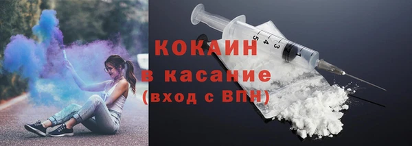 ПСИЛОЦИБИНОВЫЕ ГРИБЫ Арсеньев