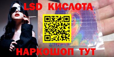 СК Новодвинск