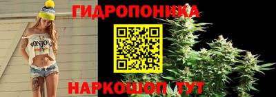 прущий лед Нальчик