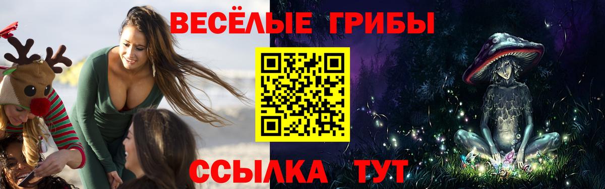 Галлюциногенные грибы Psilocybe  Вход с VPN  где купить   Галлюциногенные грибы Psilocybe  Сургут 